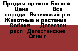 Продам щенков Биглей › Цена ­ 15 000 - Все города, Вяземский р-н Животные и растения » Собаки   . Дагестан респ.,Дагестанские Огни г.